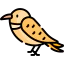 Bird icon 64x64