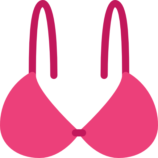 Bra icon