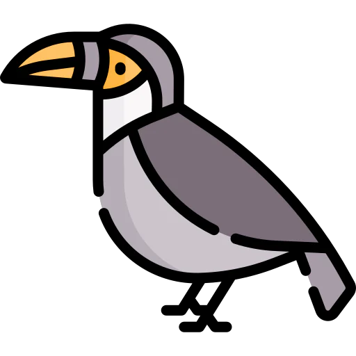 Toucan іконка