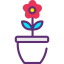 Flower icon 64x64