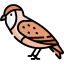 Owl icon 64x64