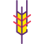 Wheat icon 64x64