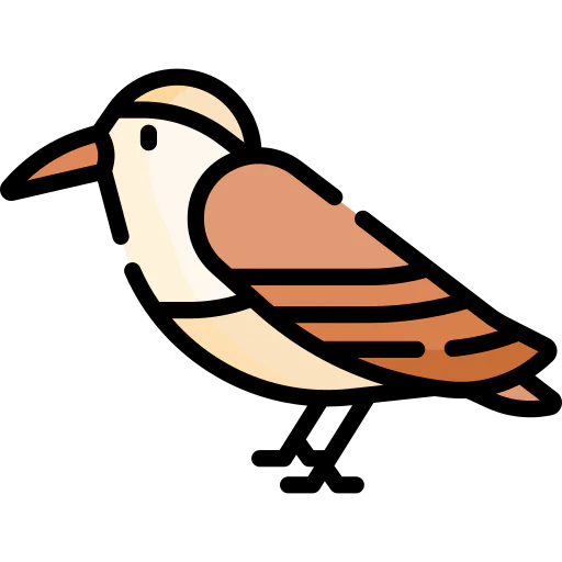 Hummingbird icon
