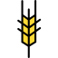 Wheat icon 64x64