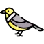 Bird icon 64x64
