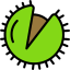 Chestnut icon 64x64