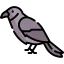 Crow icon 64x64