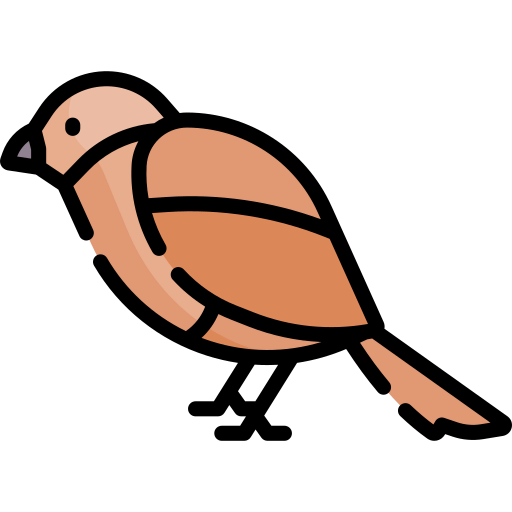 Sparrow アイコン