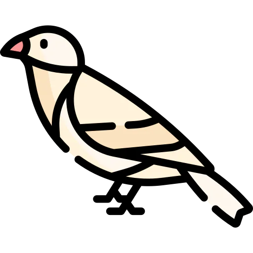 Sparrow іконка
