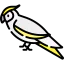 Cockatoo icon 64x64