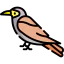 Bird icon 64x64