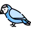 Parrot icon 64x64