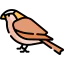Sparrow icon 64x64