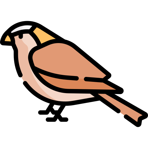 Sparrow icon