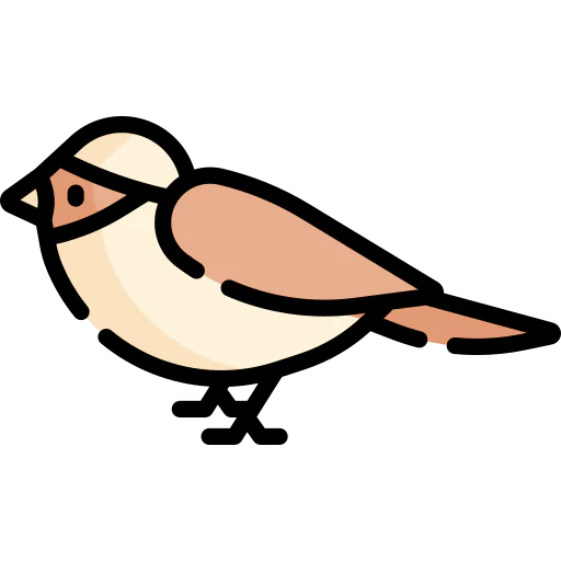 Sparrow іконка