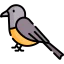 Bird icon 64x64