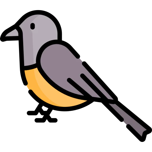 Bird 图标