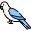 Parrot icon 64x64