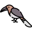 Hornbill icon 64x64