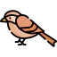 Nightingale icon 64x64