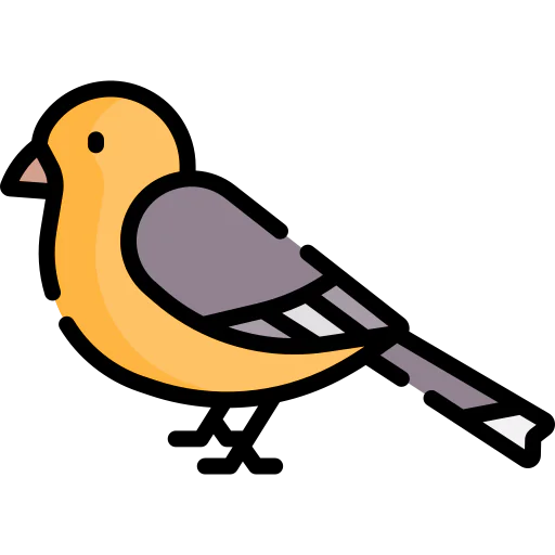 Robin icon