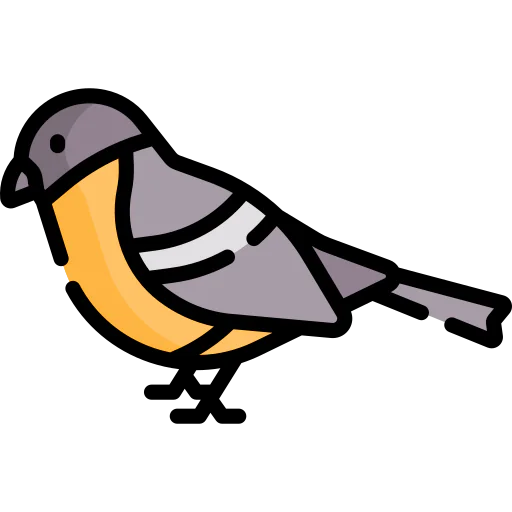 Bird 图标