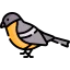 Bird icon 64x64