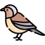 Bird icon 64x64