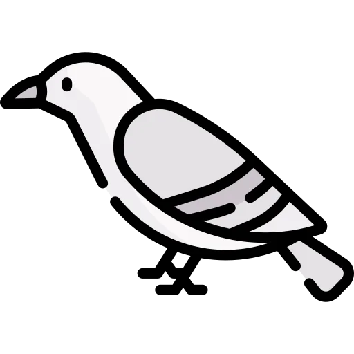 Dove icon