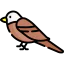 Eagle icon 64x64