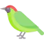 Woodpecker 상 64x64