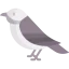 Bird 상 64x64