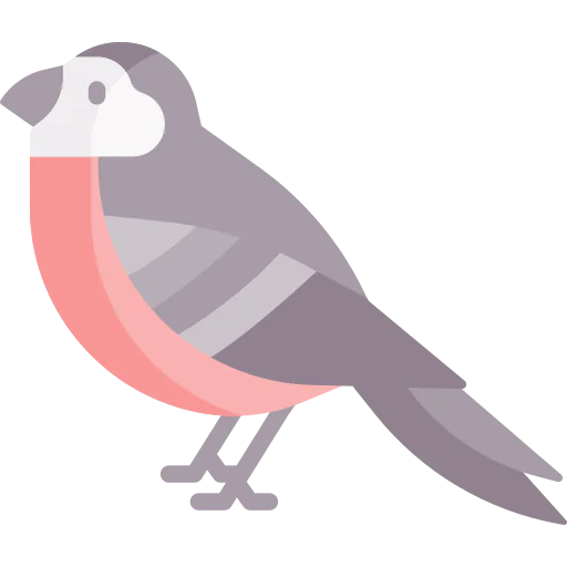 Bird icon