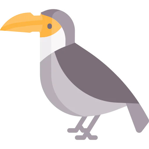 Toucan Symbol