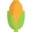 Corn icon 64x64