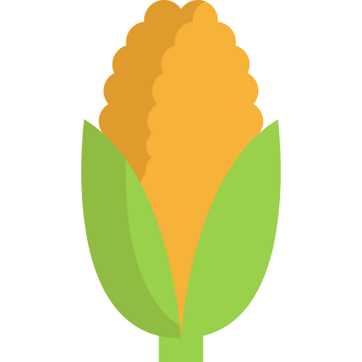 Corn icon