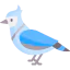 Bird 상 64x64