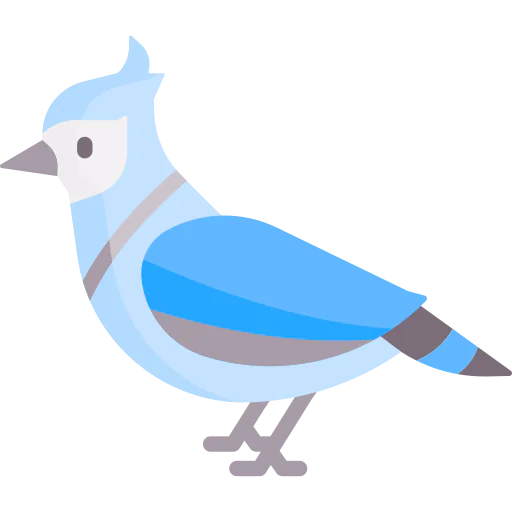 Bird 图标