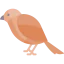 Sparrow 상 64x64