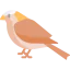 Sparrow 상 64x64