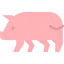 Pork icône 64x64