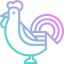 Chicken icon 64x64