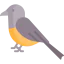 Bird 상 64x64