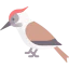 Woodpecker 상 64x64