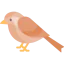 Nightingale 상 64x64