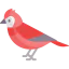 Cardinal icon 64x64