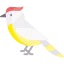 Cockatoo icon 64x64