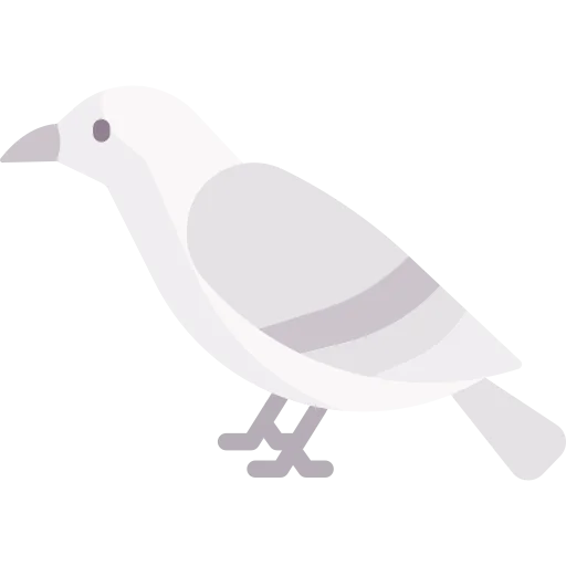 Dove icon