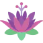 Lotus アイコン 64x64