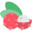 Lychee アイコン 64x64